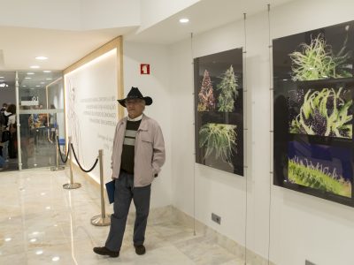 LISBOA 09/NOVEMBRO/2018
LISBON MEDICAL CANNABIS 2018
FOTO: RENATO VELASCO
